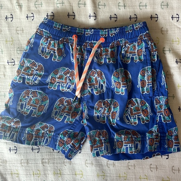 Crewcuts bundle of size 3 boys swim shorts. Great colors. Well worn - Picture 6 of 13